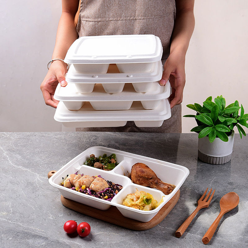 The Functions of Biodegradable Food Packing