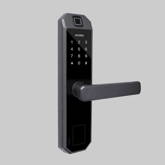 Function of Smart Door Handle Lock