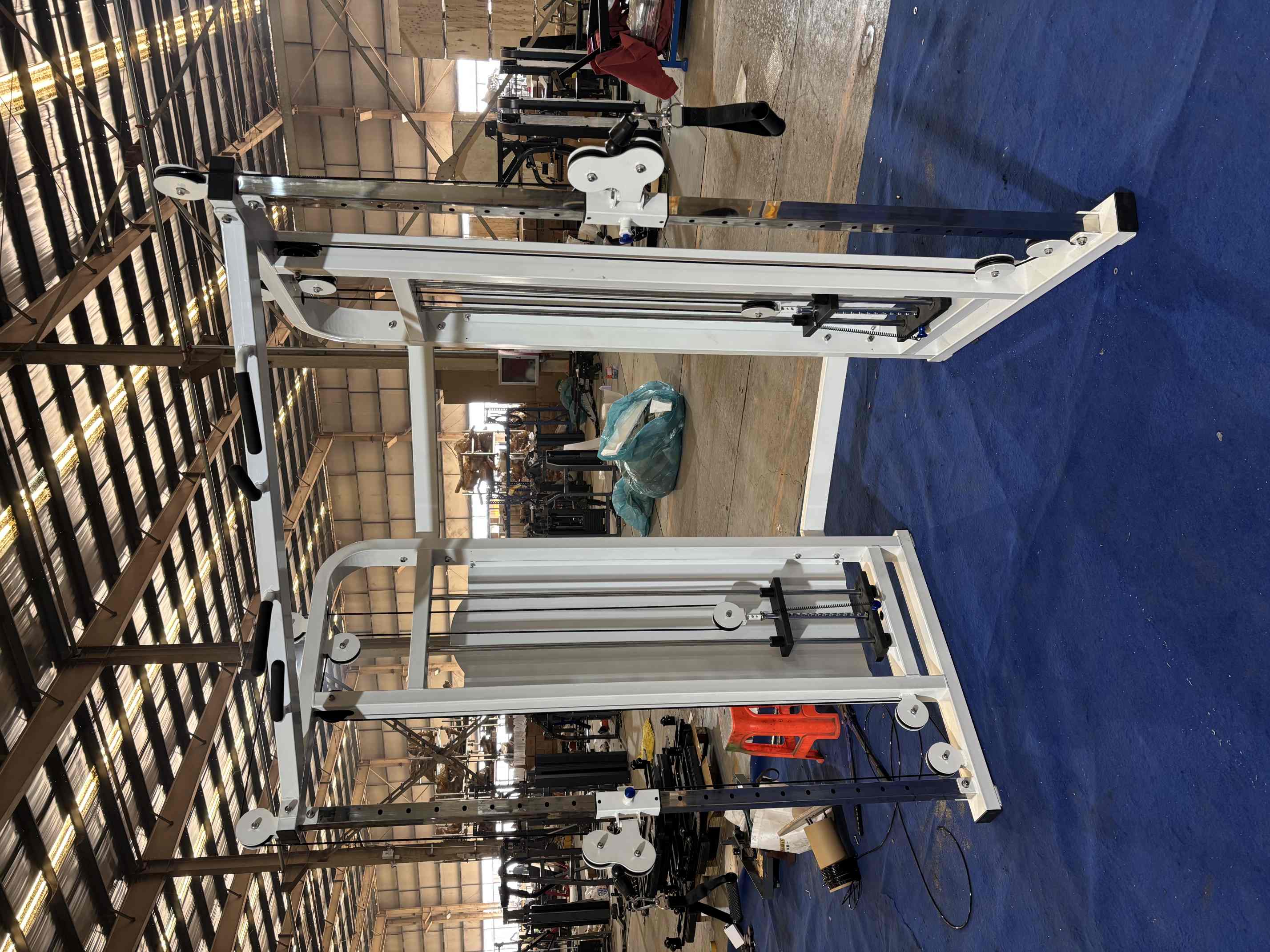 Garage Gym Machine Manufacturer Reveals How to Build a Pro-Level Home Gym on a Budget
